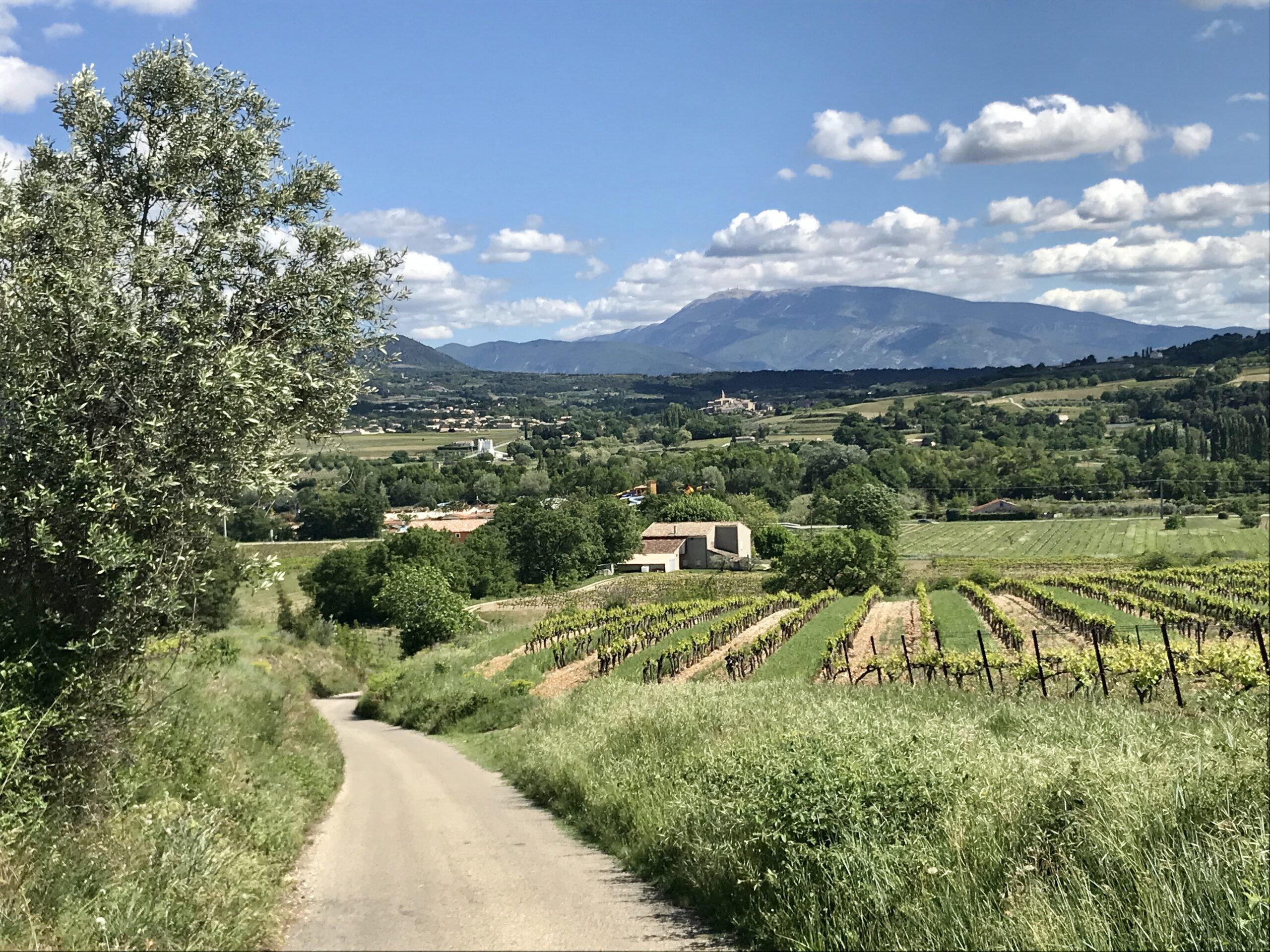 Contact photo Gîtes La Françonne
