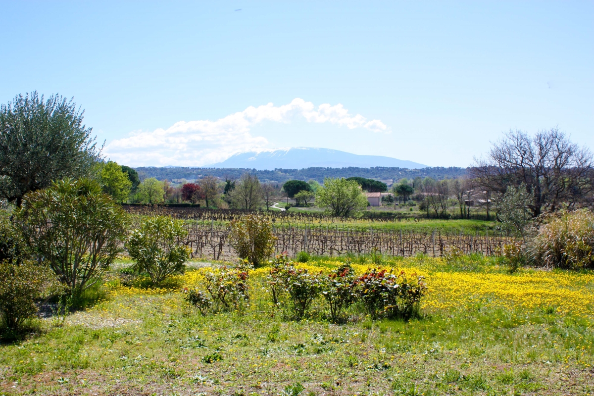 Mont Ventoux, giant of Provence