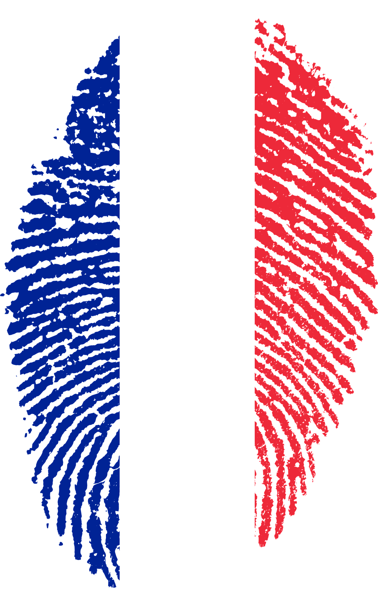 Drapeau Français