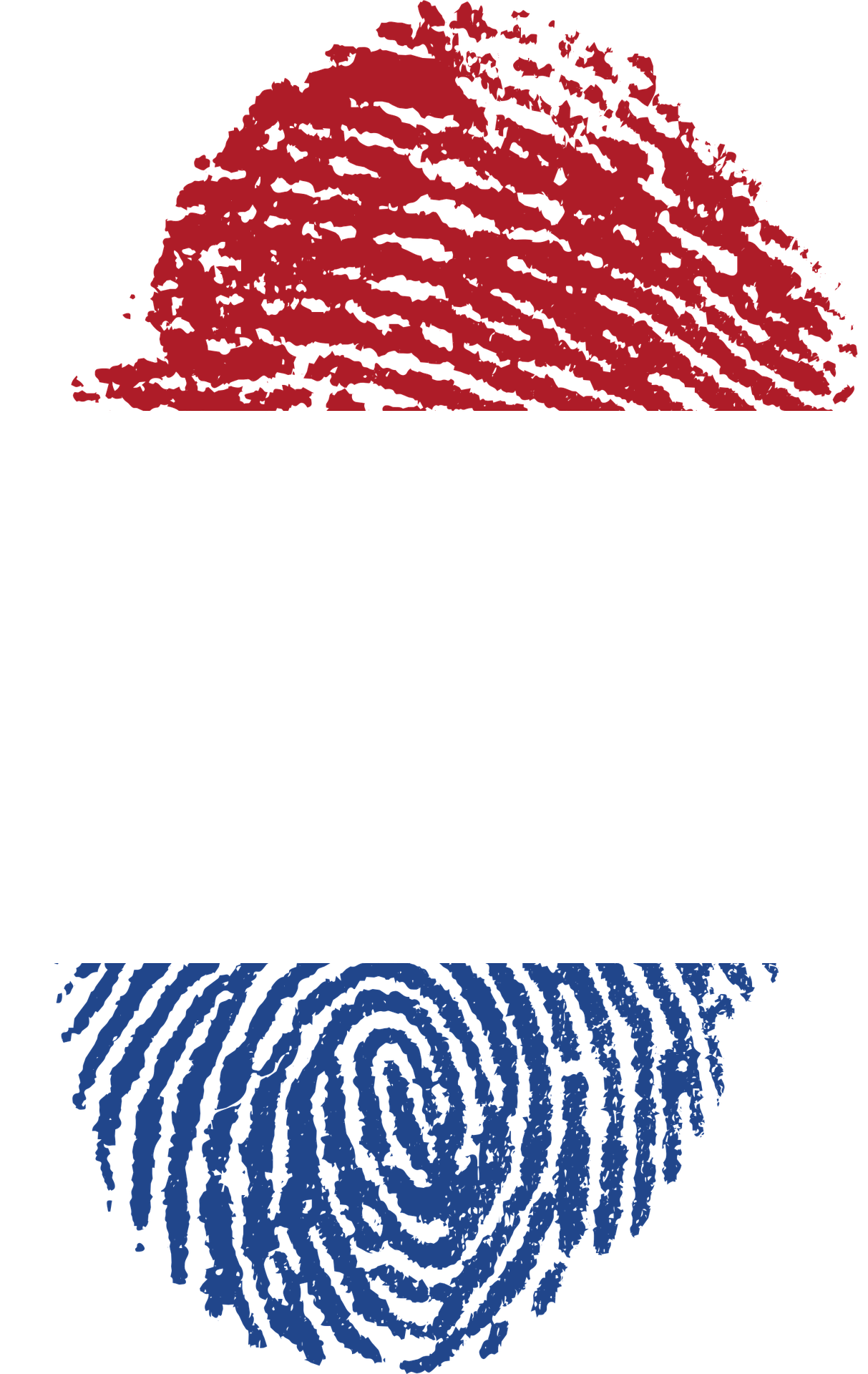 Nederlandse Vlag