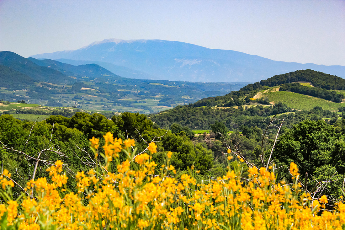 Paysage de nature 1