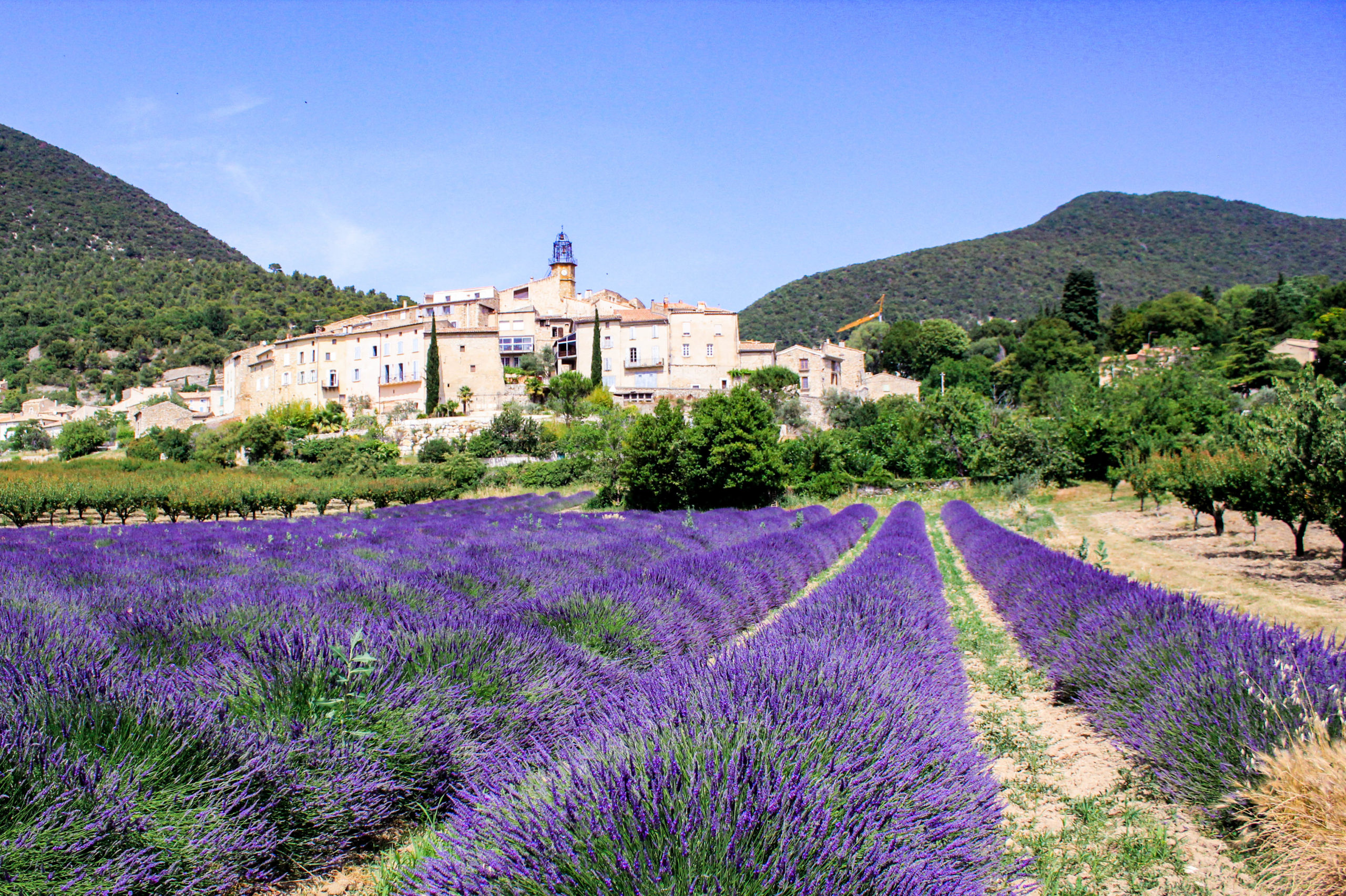 Paysage de nature 2