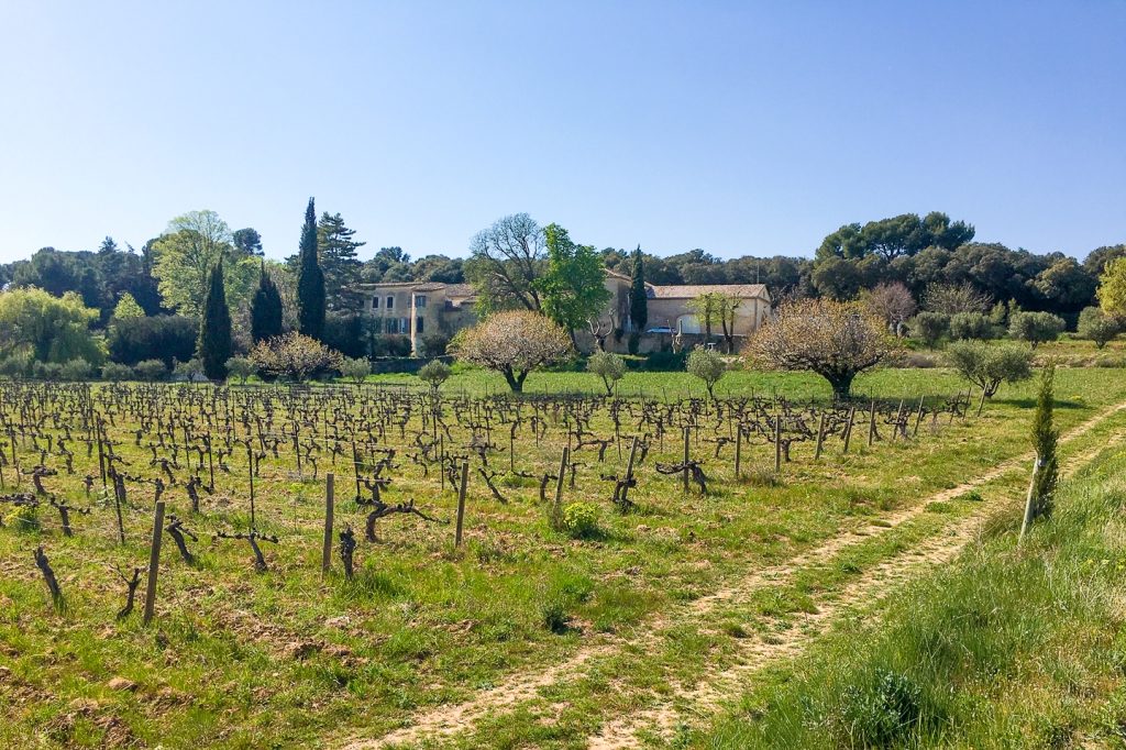 Paysage de nature 3